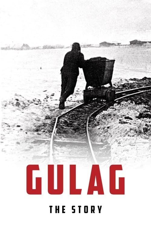 Gulag: The History