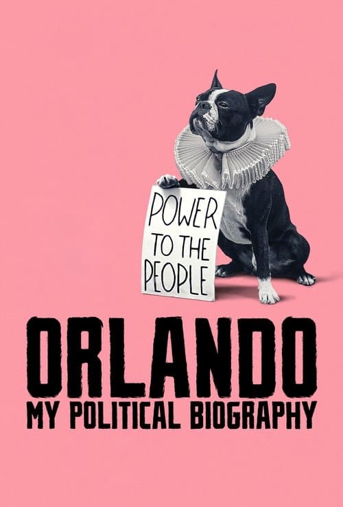 Orlando: My Political Biography
